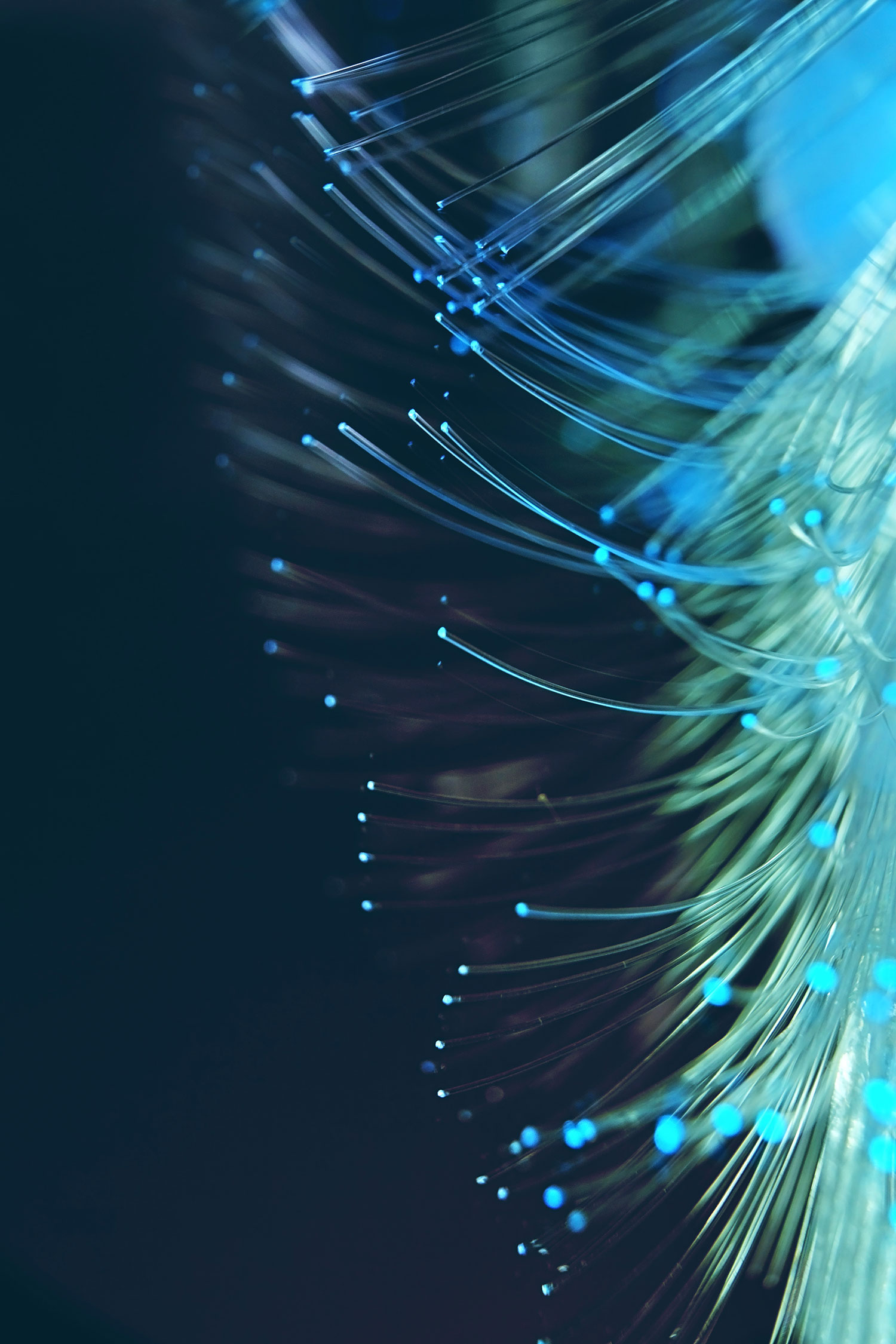 Customer Data Platform